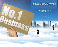 跨越語言之橋——上海譯境的專業(yè)文件翻譯服務